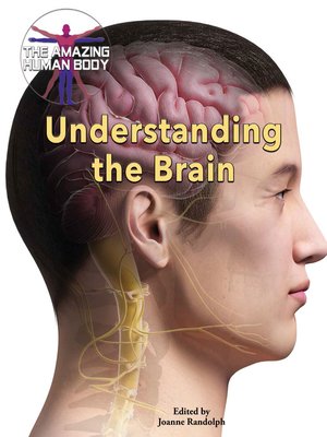 cover image of Understanding the Brain